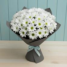 Букет цветов из:  Хризантемы в Хилоке