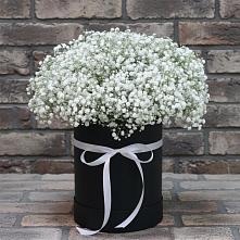 Цветочная композиция из Гипсофила в шляпной коробке #REPLACE_PRED# Хилоке