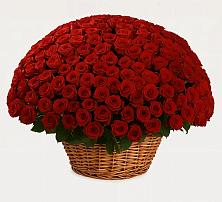 Премиум букет из: Розы в Хилоке