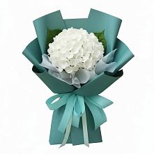 Букет цветов из:  Гортензия в Хилоке